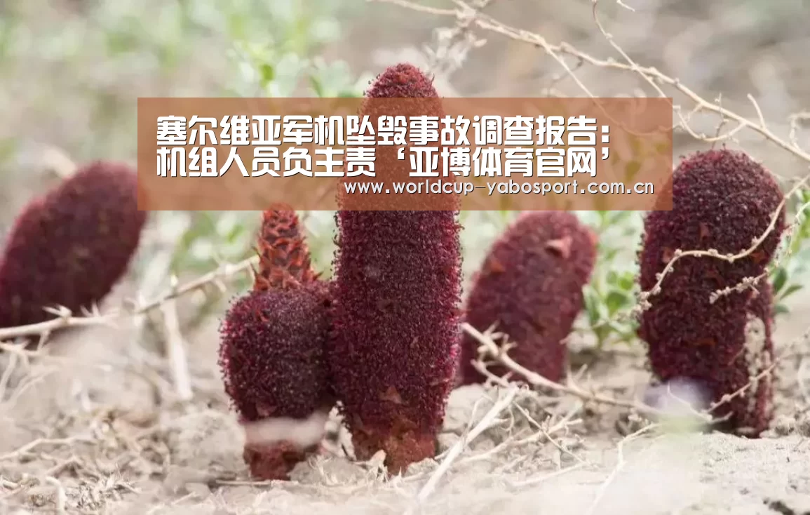 塞尔维亚军机坠毁事故调查报告:机组人员负主责‘亚博体育官网’