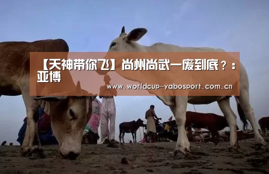 【天神带你飞】尚州尚武一废到底?:亚博(图3) 亚博官网